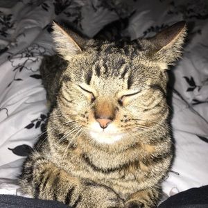 Meet your Posher, Denise